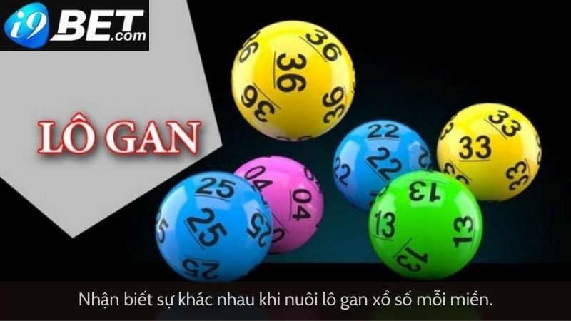 Nhận biết sự khác nhau khi nuôi lô gan xổ số mỗi miền.