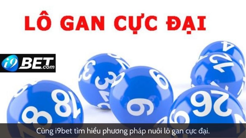 Cùng I9bet tìm hiểu phương pháp nuôi lô gan là gì